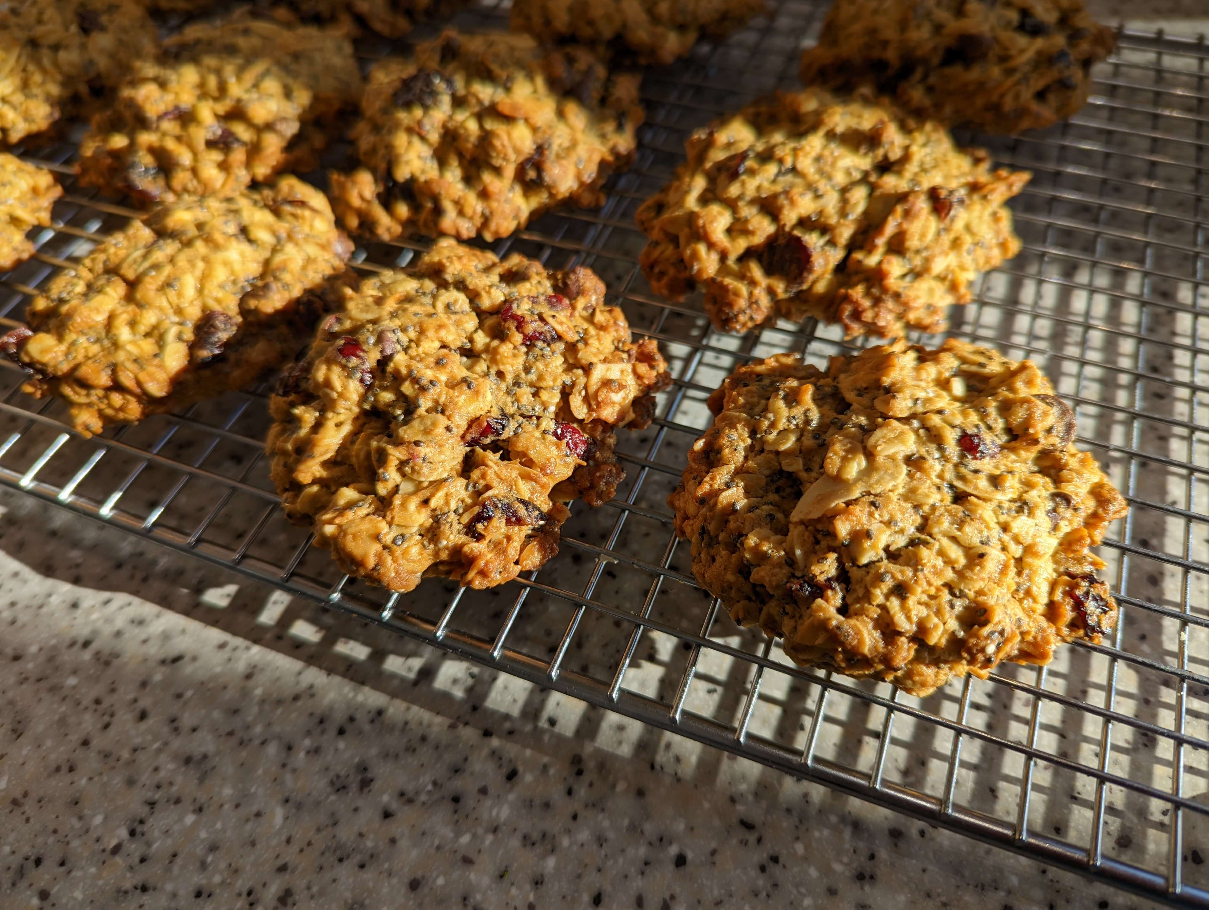 oat and cranberry cookies, fibre, snack, breakfast